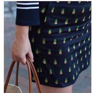 J.Crew Pineapple Skirt